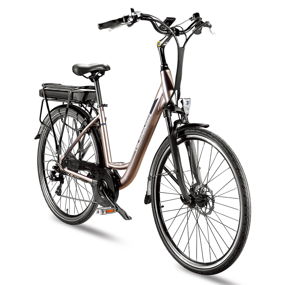 LMTDF-40L Adult Electric Bicycle 350W Ebike